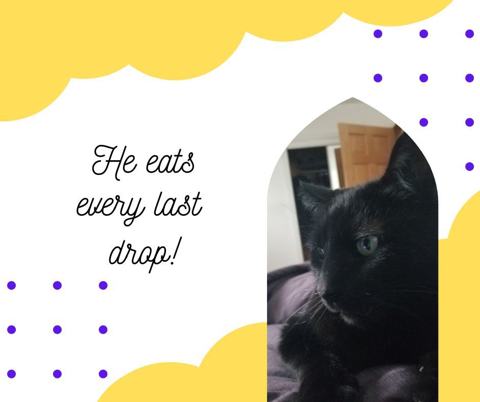 He eats every last drop!