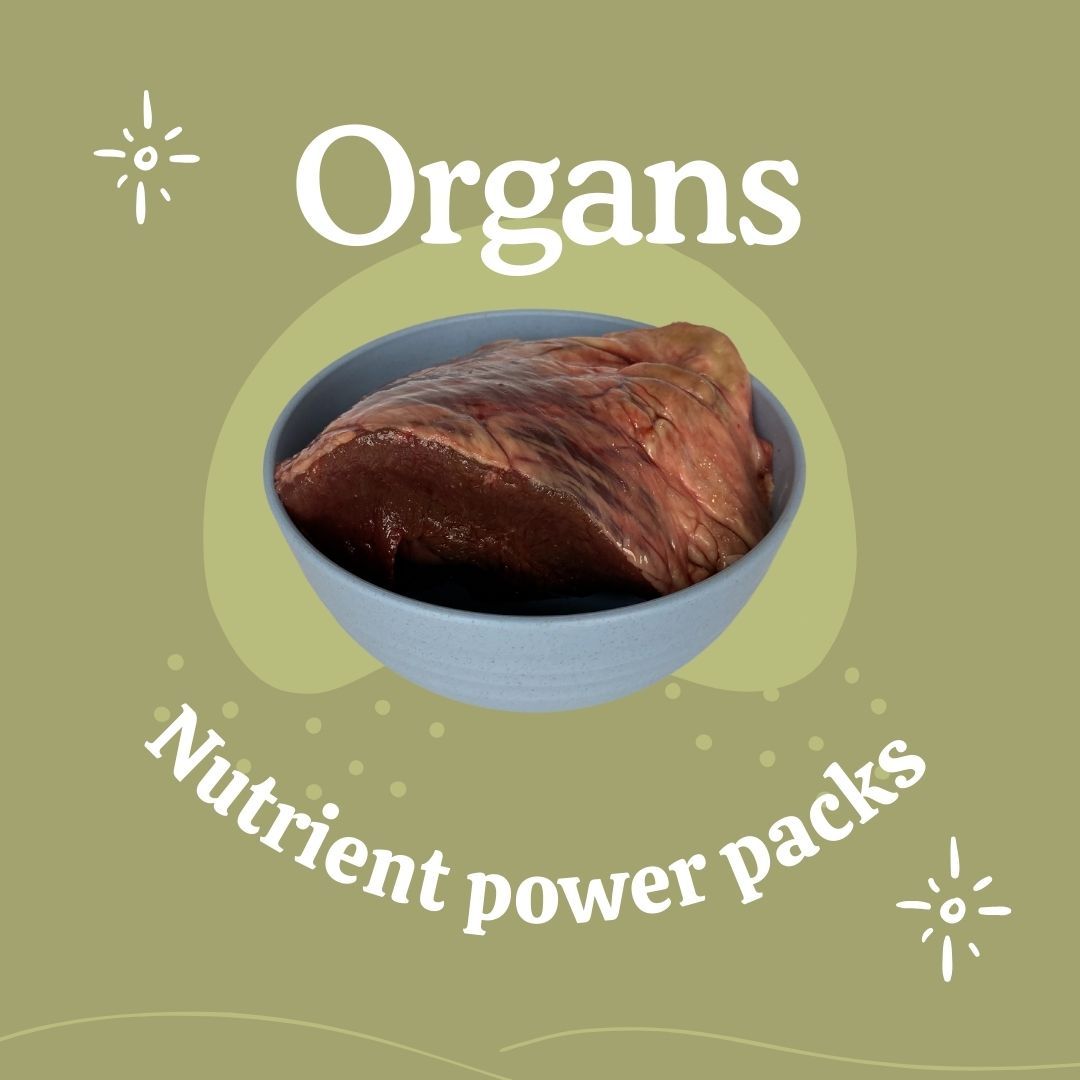 Organs — Nutrient Power Packs
