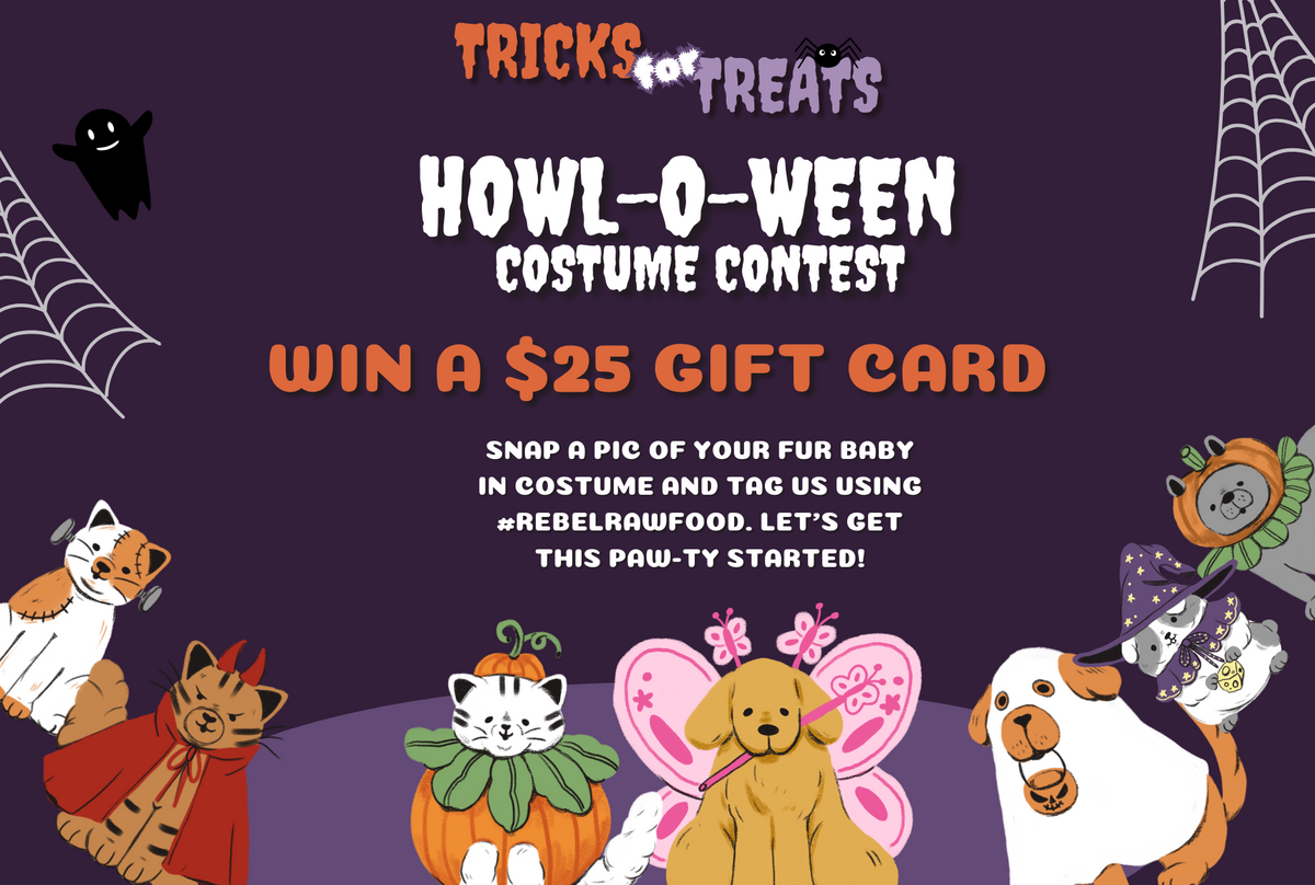 Spook-tacular Fun: Rebel Raw's Howl-o-ween Costume Contest is Here!